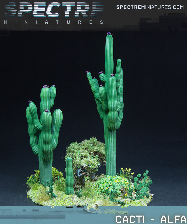 Cacti